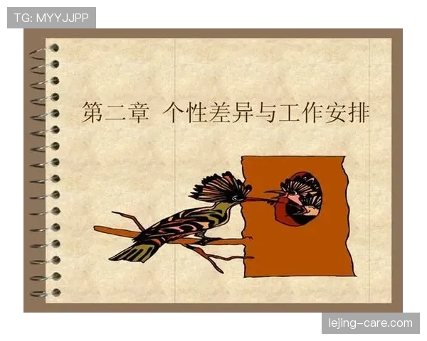 B费与德布劳内在组织覆盖下展现核心驱动差异